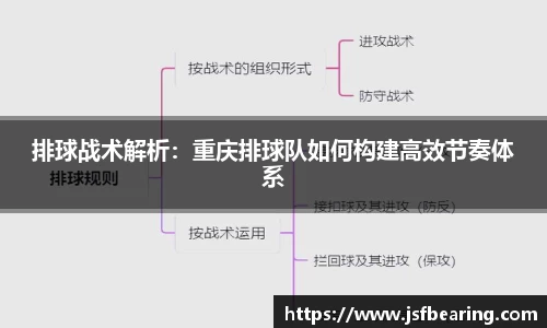 排球战术解析：重庆排球队如何构建高效节奏体系